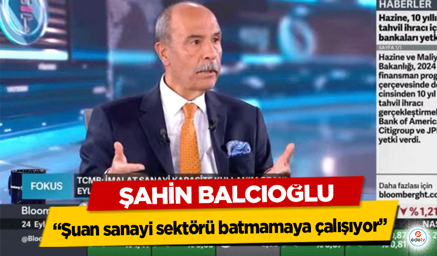 Şahin Balcıoğlu, “Şuan sanayi sektörü batmamaya çalışıyor”