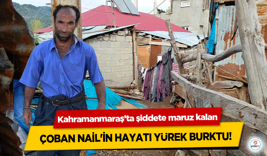 Kahramanmaraş’ta şiddete maruz kalan çoban nail'in hayatı yürek burktu