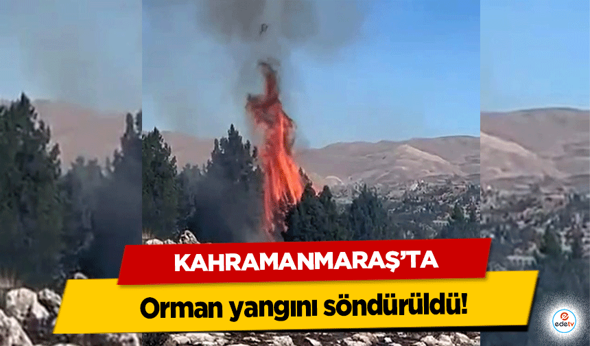 Kahramanmaraş'ta orman yangını söndürüldü!