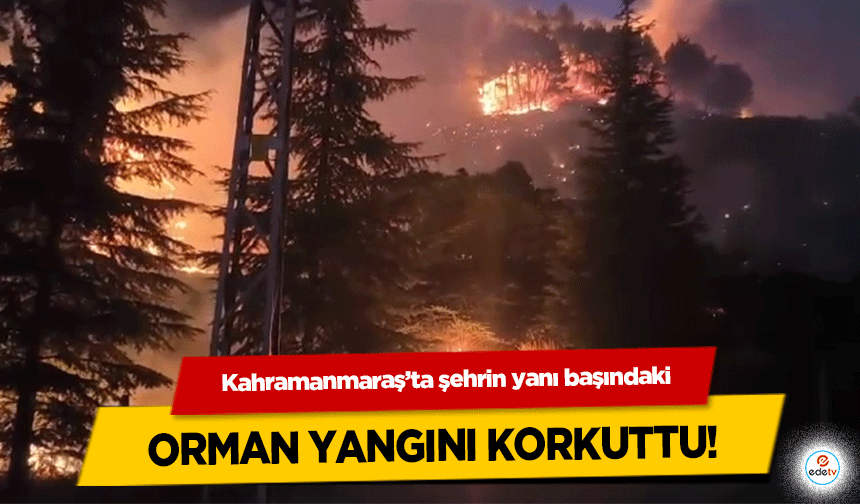 Kahramanmaraş’ta şehrin yanı başındaki orman yangını korkuttu!