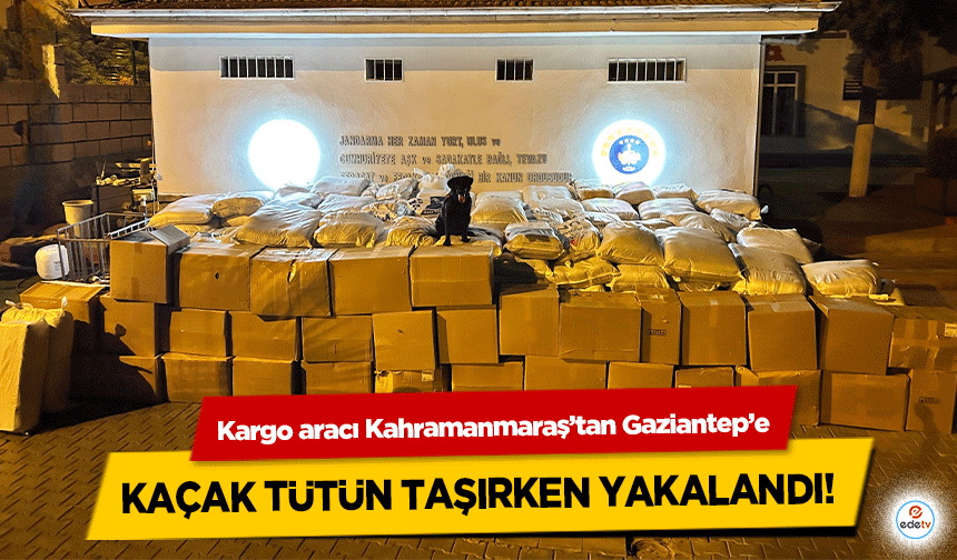 Kargo aracı Kahramanmaraş’tan Gaziantep’e kaçak tütün taşırken yakalandı!