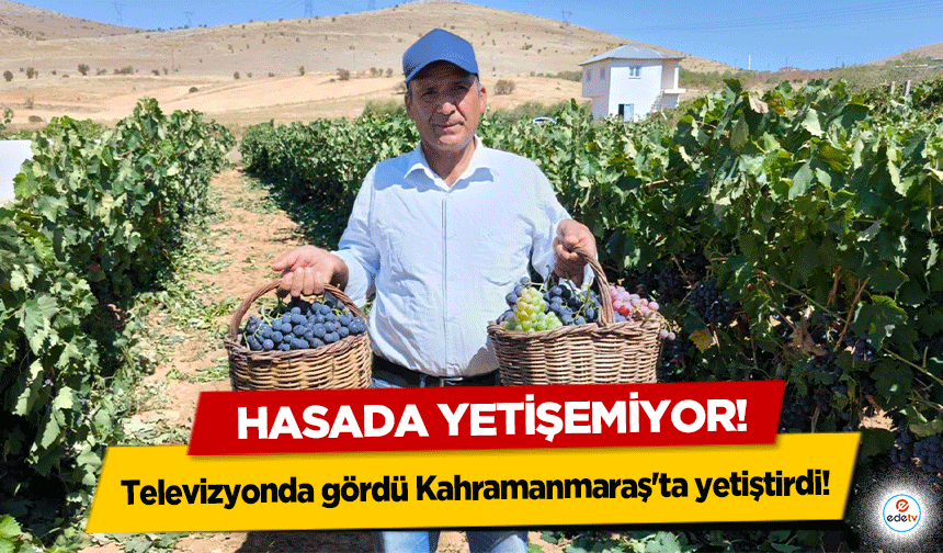 Televizyonda gördü Kahramanmaraş'ta yetiştirdi! Hasada yetişemiyor!