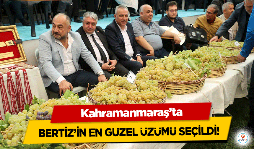 Bertiz’in en güzel üzümü seçildi!