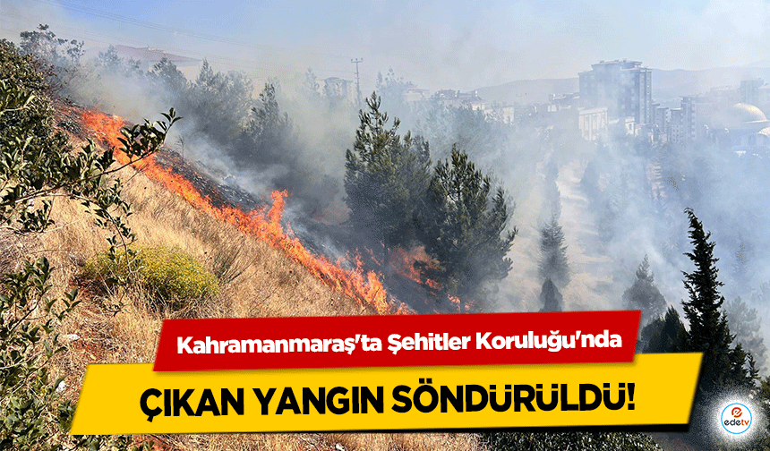 Kahramanmaraş'ta Şehitler Koruluğu'nda çıkan yangın söndürüldü!