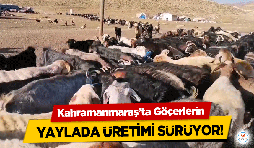 Kahramanmaraş’ta Göçerlerin yaylada üretimi sürüyor!