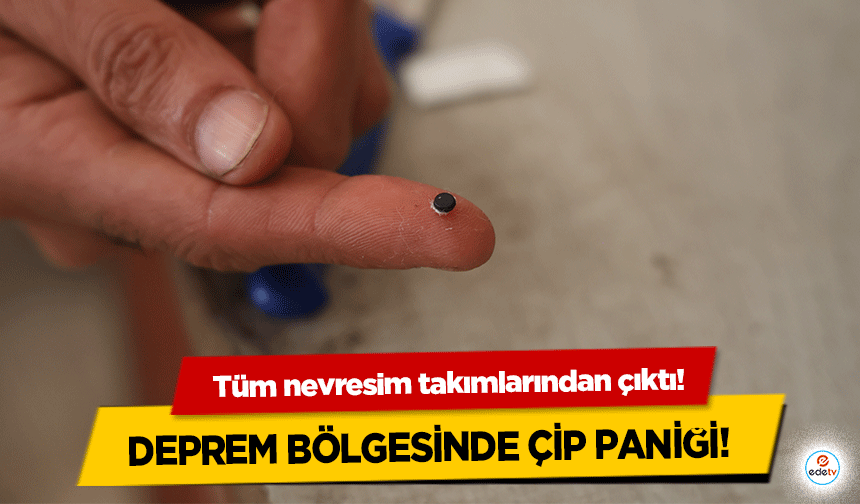 Deprem bölgesinde çip paniği!