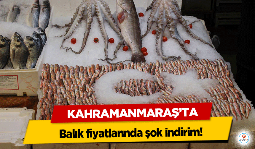 Kahramanmaraş’ta balık fiyatlarında şok indirim!