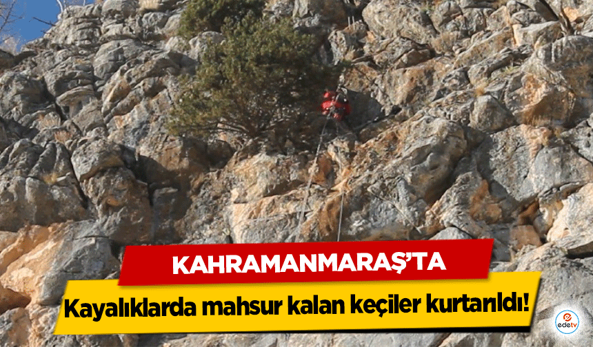 Kahramanmaraş’ta Kayalıklarda mahsur kalan keçiler kurtarıldı!