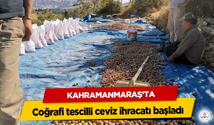 Kahramanmaraş’ta coğrafi tescilli ceviz ihracatı başladı