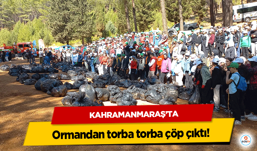 Kahramanmaraş’ta ormandan torba torba çöp çıktı!