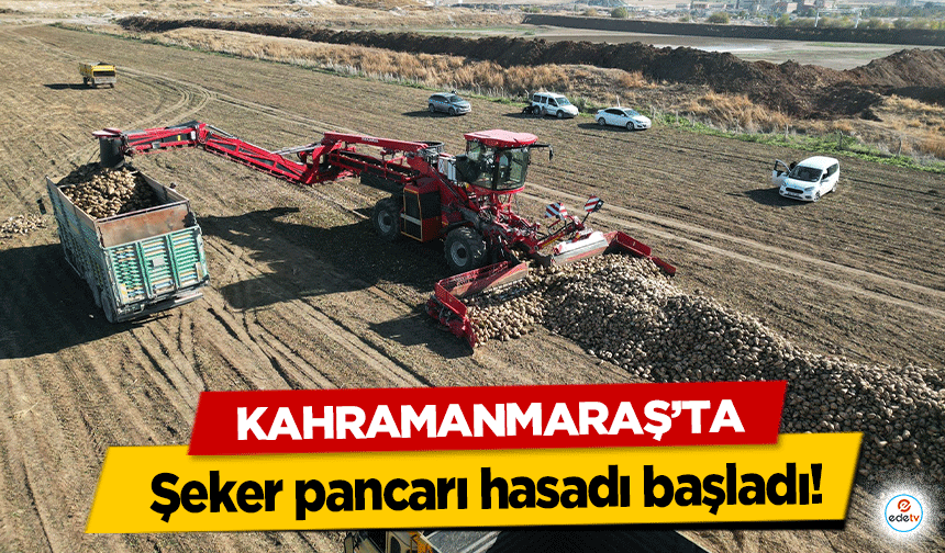 Kahramanmaraş’ta şeker pancarı hasadı başladı!