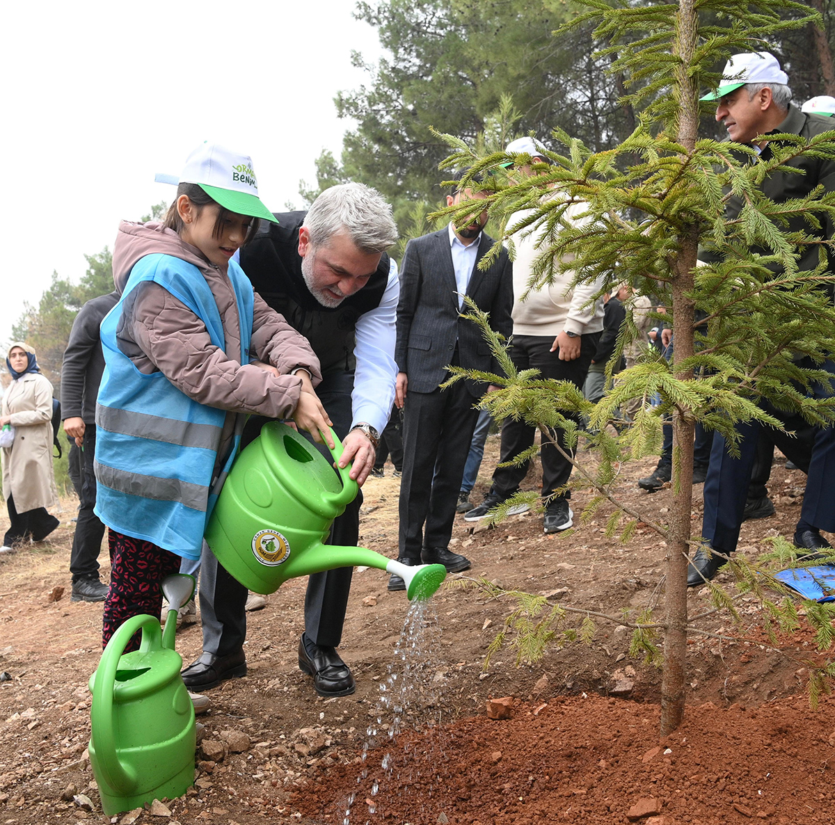 Ağaçlandırma Günü (5)