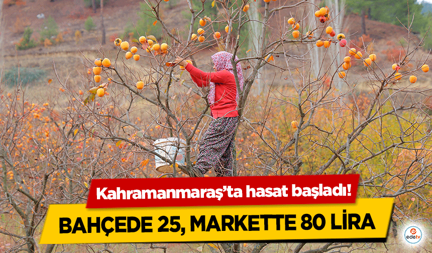 Kahramanmaraş’ta hasat başladı! Bahçede 25, markette 80 lira