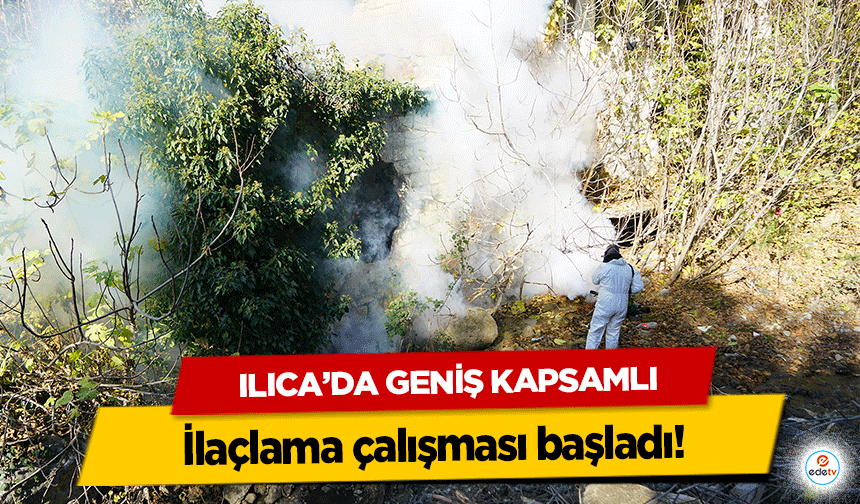 Ilıca’da Geniş Kapsamlı ilaçlama çalışması başladı!