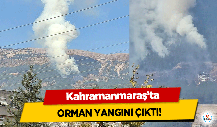 Kahramanmaraş’ta orman yangını!