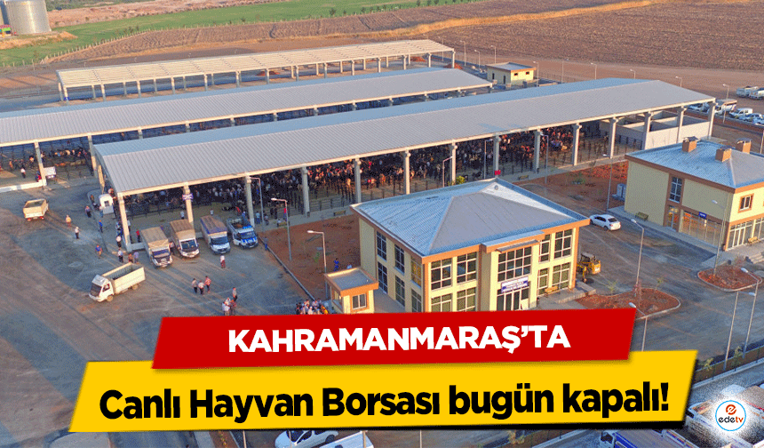 Kahramanmaraş’ta Canlı Hayvan Borsası bugün kapalı!