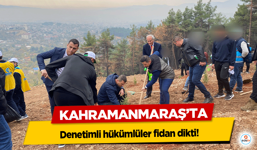 Kahramanmaraş’ta denetimli hükümlüler fidan dikti