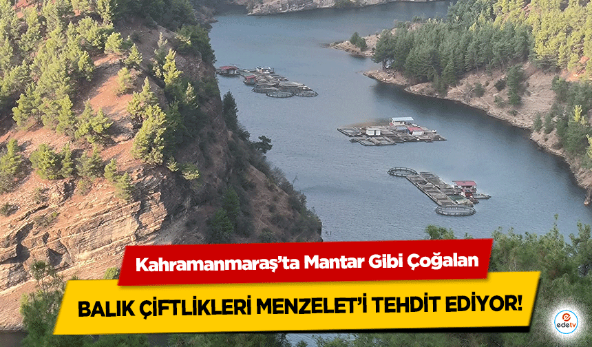 Kahramanmaraş’ta Mantar Gibi Çoğalan balık çiftlikleri Menzelet’i tehdit ediyor