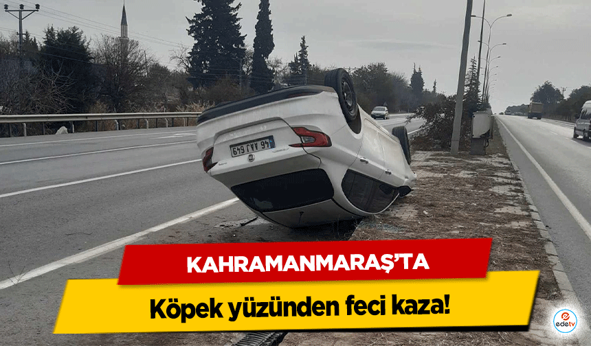 Kahramanmaraş’ta köpek yüzünden feci kaza!