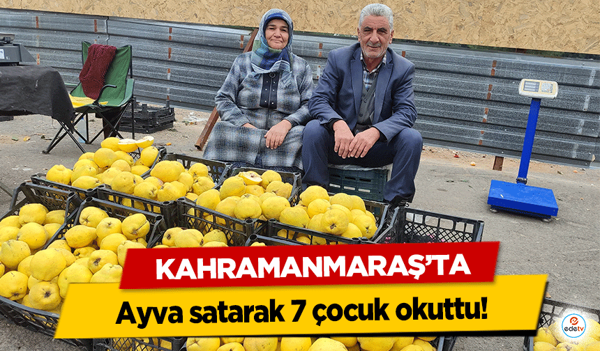 Kahramanmaraş’ta ayva satarak 7 çocuk okuttu!