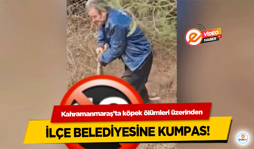 Kahramanmaraş’ta köpek ölümleri üzerinden İlçe Belediyesine Kumpas!