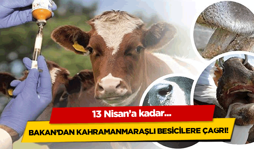 Bakan'dan Kahramanmaraşlı besicilere çağrı: 13 Nisan'a kadar...