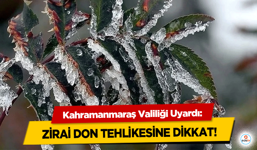 Kahramanmaraş Valiliği Uyardı! Zirai Don Tehlikesine Dikkat!