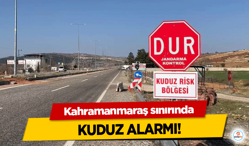 Kahramanmaraş sınırında kuduz alarmı!