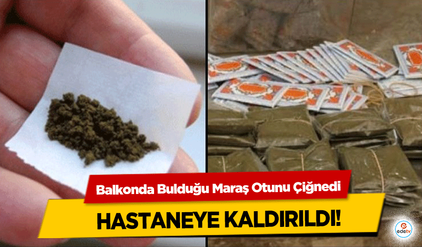 Balkonda Bulduğu Maraş Otunu Çiğnedi, hastaneye kaldırıldı!