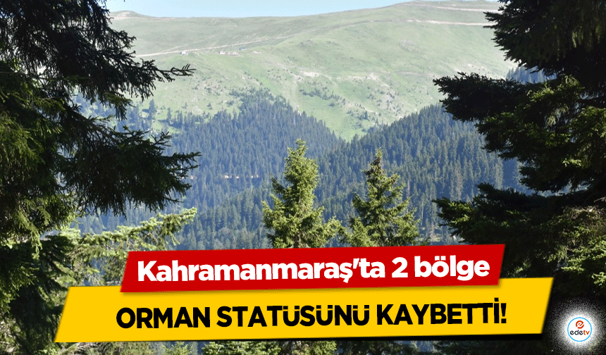 Kahramanmaraş'ta 2 bölge orman statüsünü kaybetti!