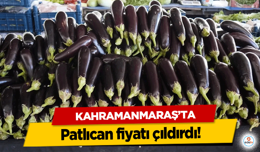 Kahramanmaraş'ta patlıcan fiyatı çıldırdı!