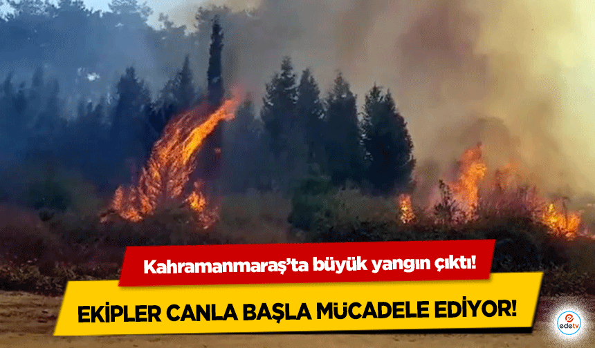 Kahramanmaraş’ta büyük yangın çıktı! Ekipler canla başla mücadele ediyor!