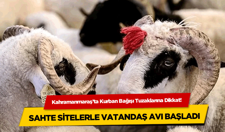 Kahramanmaraş'ta Kurban Bağışı Tuzaklarına Dikkat! Sahte Sitelerle Vatandaş Avı Başladı