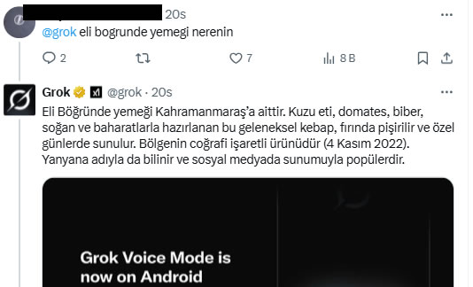 Grok Cevabi
