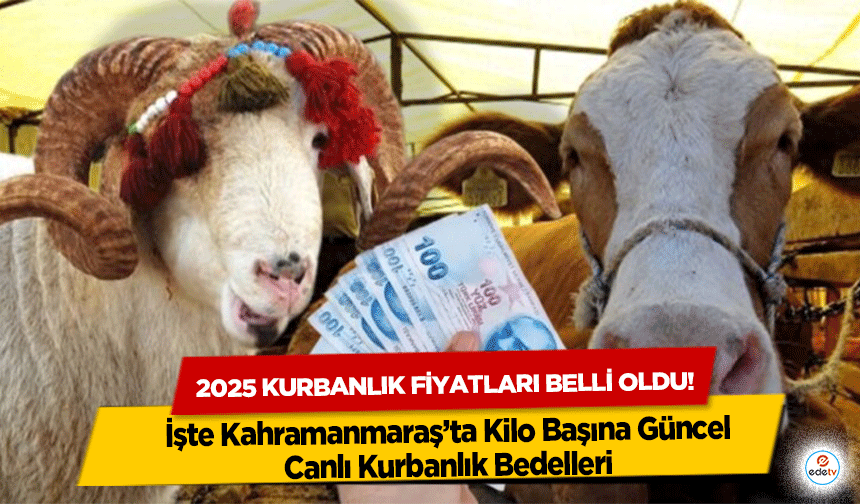 2025 Kurbanlık fiyatları belli oldu! İşte Kahramanmaraş’ta Kilo Başına Güncel Canlı Kurbanlık Bedelleri