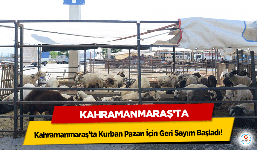 Kahramanmaraş’ta Kurban Pazarı İçin Geri Sayım Başladı! Yerler Kura ile Belirlenecek
