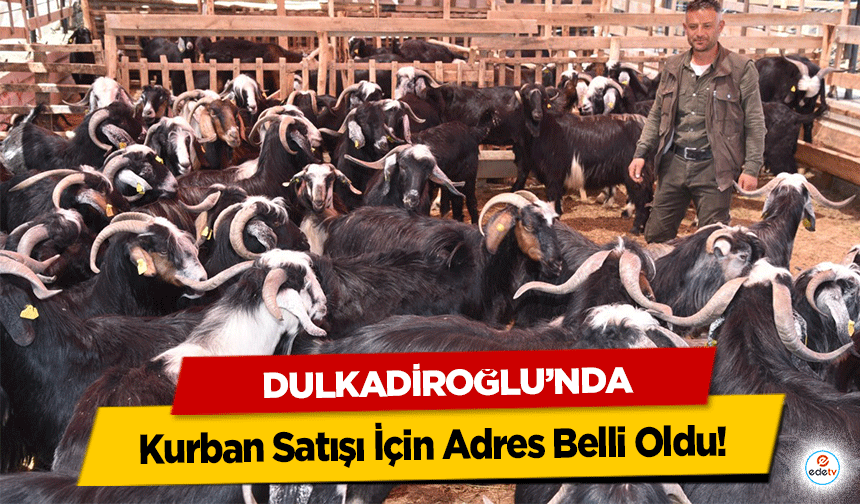 Dulkadiroğlu’nda Kurban Satışı İçin Adres Belli Oldu!