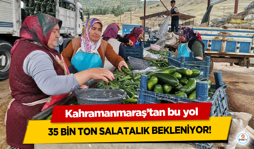 Kahramanmaraş’tan bu yol 35 bin ton salatalık bekleniyor!