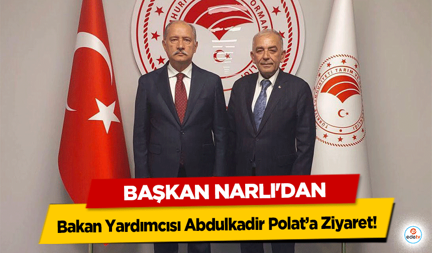 Başkan Narlı'dan Bakan Yardımcısı Abdulkadir Polat’a Ziyaret