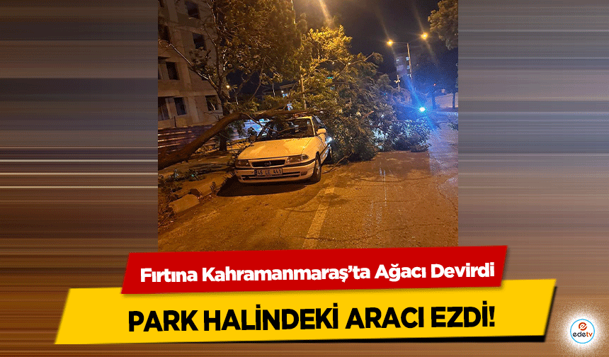 Fırtına Kahramanmaraş’ta Ağacı Devirdi, park halindeki aracı ezdi!