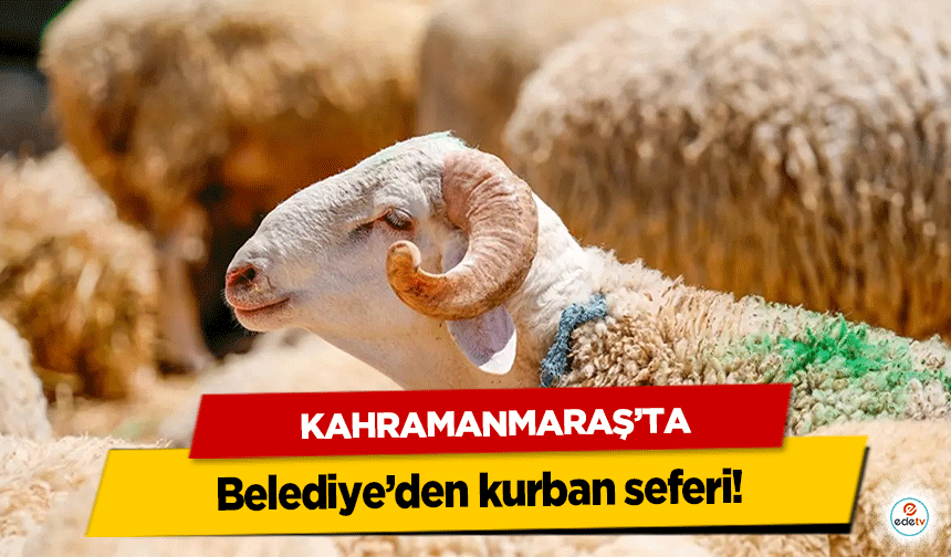 Kahramanmaraş’ta Belediye’den kurban seferi!