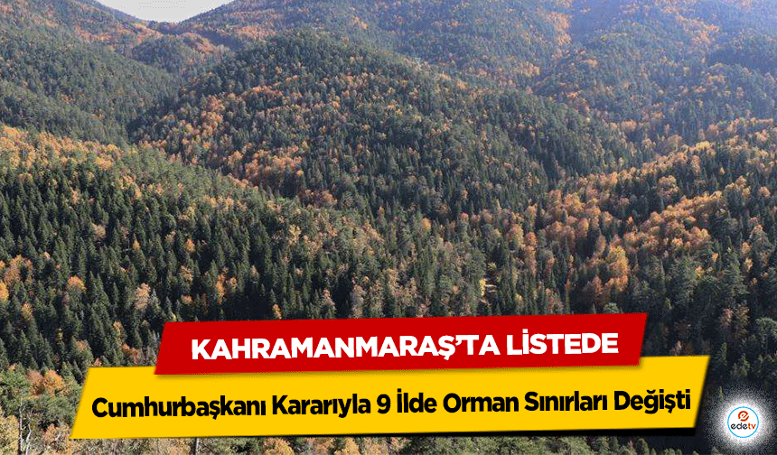 Cumhurbaşkanı Kararıyla 9 İlde Orman Sınırları Değişti: Kahramanmaraş’ta Listede