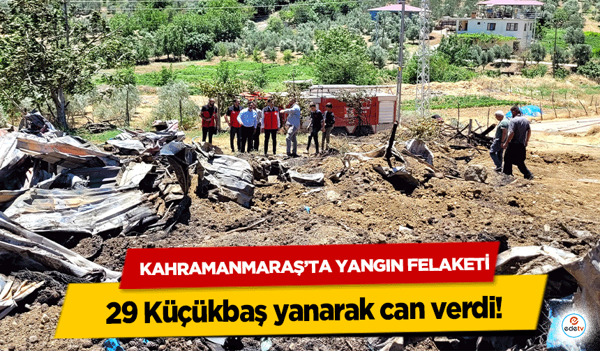 Kahramanmaraş’ta Yangın Felaketi: 29 Küçükbaş yanarak can verdi!