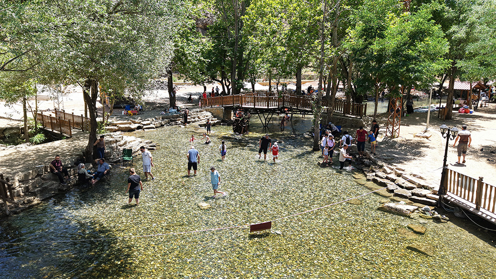 Yeşilgöz (4)