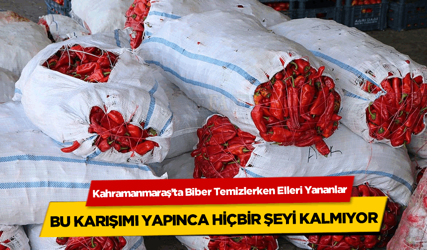 Kahramanmaraş'ta Biber Temizlerken Elleri Yananlar Bu Karışımı Yapınca Hiçbir Şeyi Kalmıyor