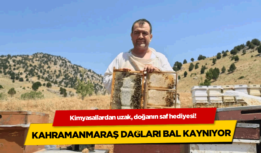 Kahramanmaraş’ın Doğal İksiri Engizek Balları, 20 Ağustos’ta Sofralarda!