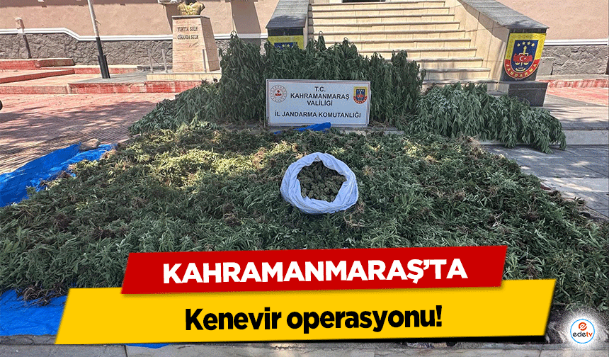 Kahramanmaraş’ta kenevir operasyonu!