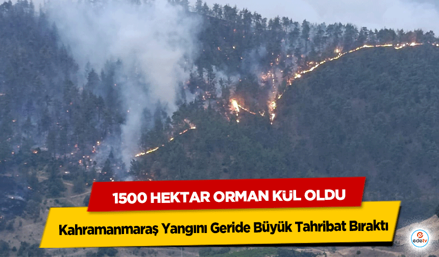 1500 Hektar Orman Kül Oldu: Kahramanmaraş Yangını Geride Büyük Tahribat Bıraktı