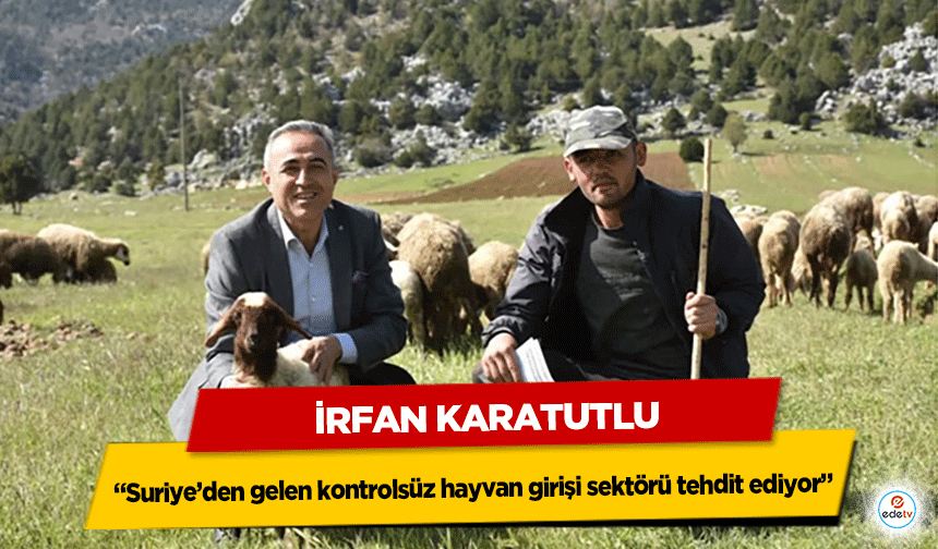 İrfan Karatutlu “Suriye’den gelen kontrolsüz hayvan girişi sektörü tehdit ediyor”