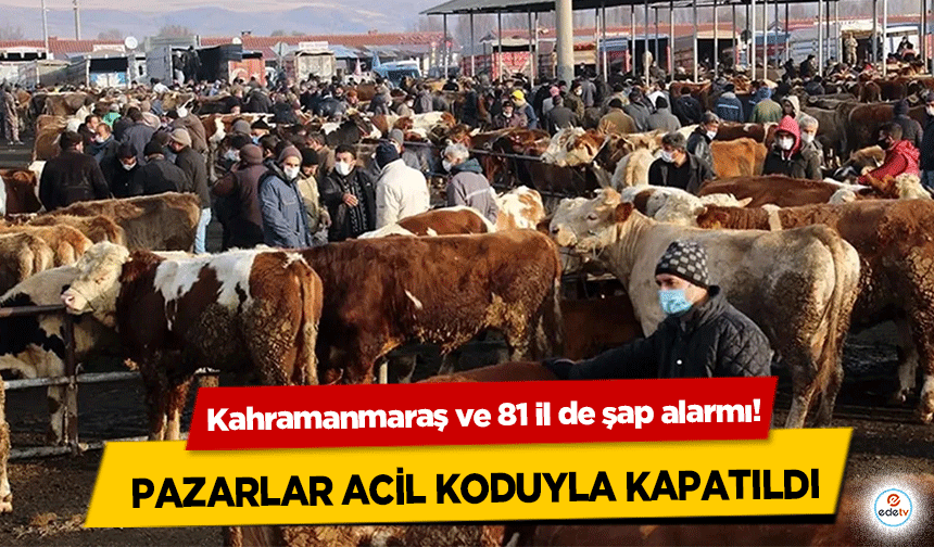 Kahramanmaraş ve 81 il de şap alarmı! Pazarlar acil koduyla kapatıldı